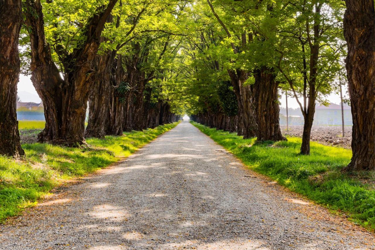 Agriturismo Le Corti Della Gualdana Вогера Екстериор снимка