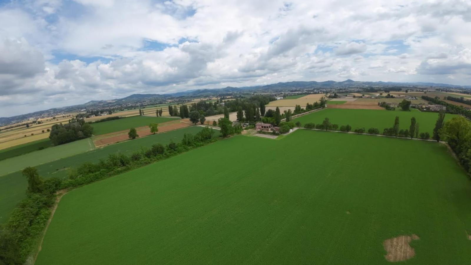 Agriturismo Le Corti Della Gualdana Вогера Екстериор снимка